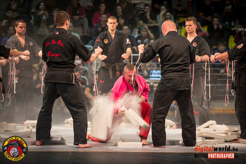 XX. Hanshi Kupa